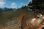 Vlcsnap-2017-10-15-16h53m32s867